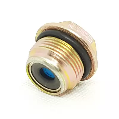 Редукционный перепускной клапан для топливного насоса 2443461003, M24